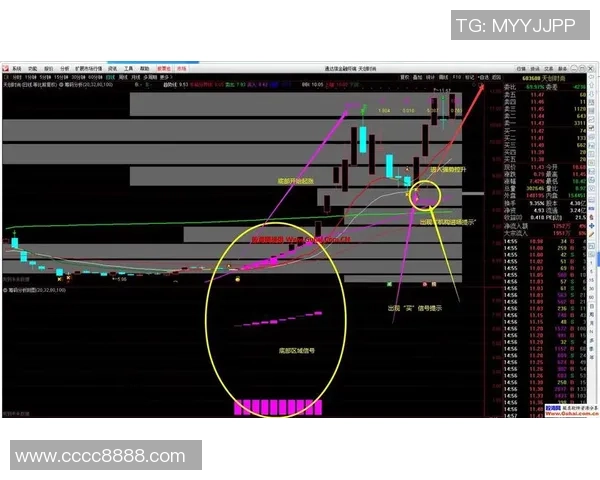 太阳与神秘人对决预测分析揭示未来走势与潜在影响