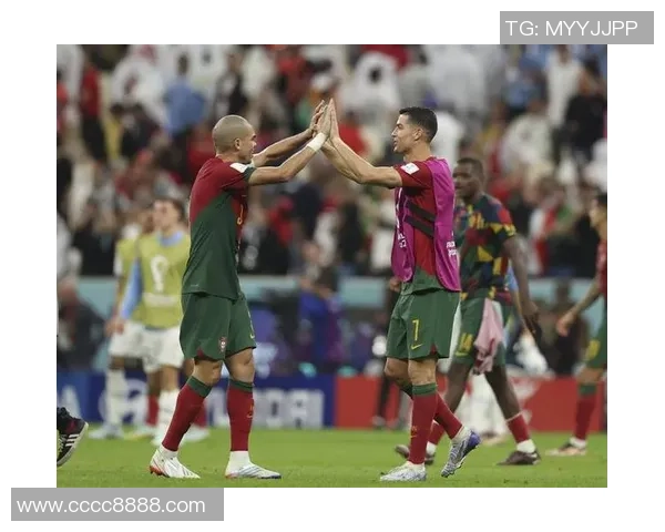 葡萄牙与黑乌克兰激战正酣谁将赢得这场精彩对决