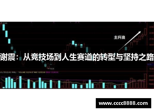谢震：从竞技场到人生赛道的转型与坚持之路