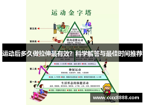 运动后多久做拉伸最有效？科学解答与最佳时间推荐